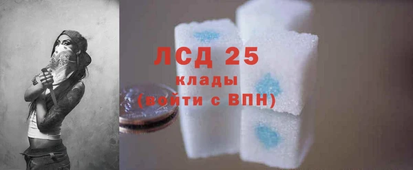 ешки Аркадак