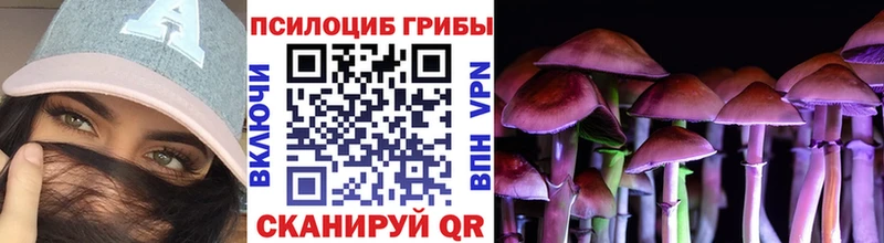 Псилоцибиновые грибы мицелий  наркота  Хилок 